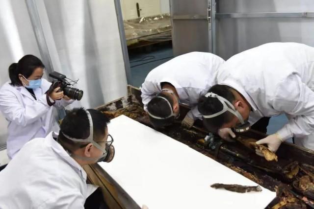 甘肅文物事業高質量發展邁出堅實步伐《四》(圖2) 2.jpeg